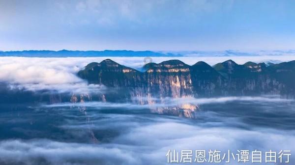 金刚鹦鹉逃生